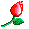 geburtstag_43: