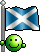 :sco16: