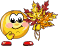 :h11: